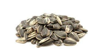 Bleached Sunflower Seeds (Per LB) - Papaya Express